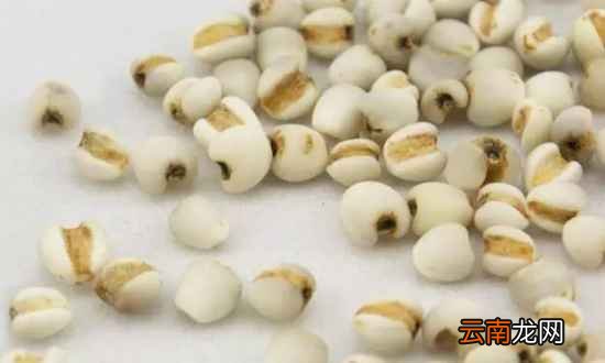 常喝什么茶对皮肤好 试试这四种吧