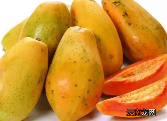 女人吃什么食物养颜护肤 这10大美容食物了解下