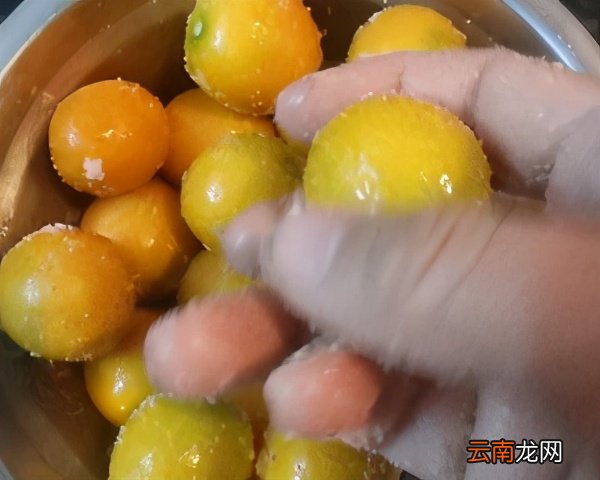 超级有效的止咳食物 金桔冰糖止咳的做法