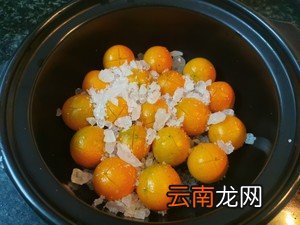 超级有效的止咳食物 金桔冰糖止咳的做法