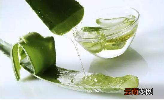 祛斑方法有哪些 饮食祛斑大法