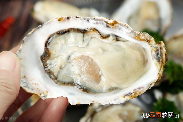 蒸生蚝多长时间最好 生蚝的做法蒸几分钟