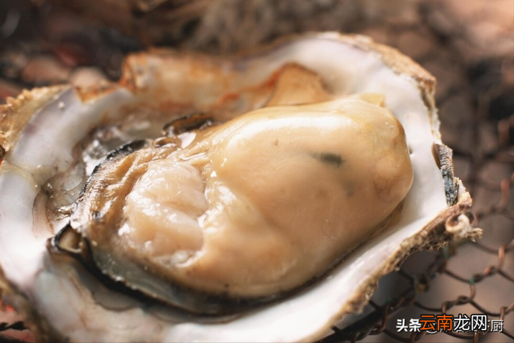 蒸生蚝多长时间最好 生蚝的做法蒸几分钟