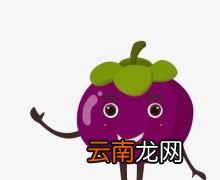 山竹对身体有什么好处