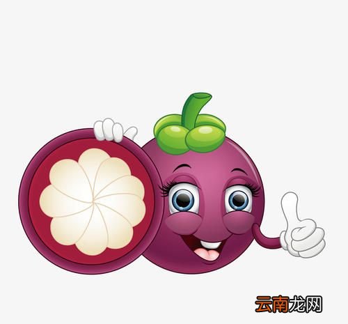 山竹对身体有什么好处
