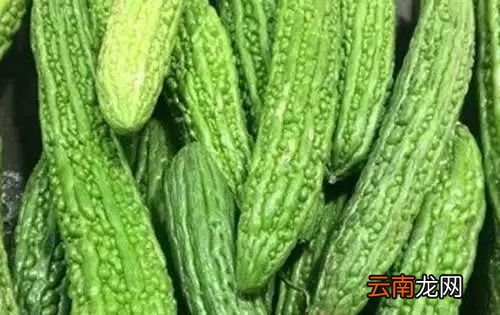 经常吃苦瓜有什么好处 夏天正是吃苦瓜的时候哟
