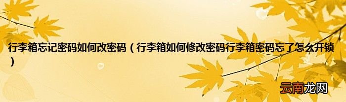 行李箱如何修改密码行李箱密码忘了怎么开锁 行李箱忘记密码如何改密码