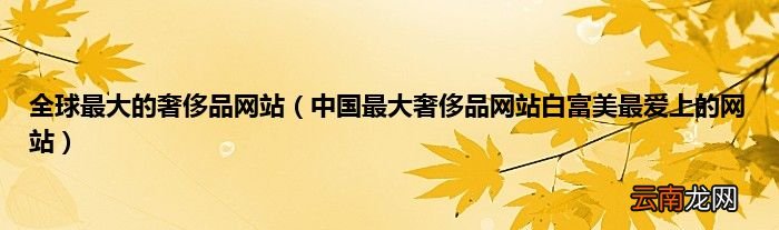 中国最大奢侈品网站白富美最爱上的网站 全球最大的奢侈品网站