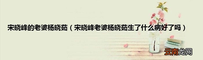 宋晓峰老婆杨晓茹生了什么病好了吗 宋晓峰的老婆杨晓茹