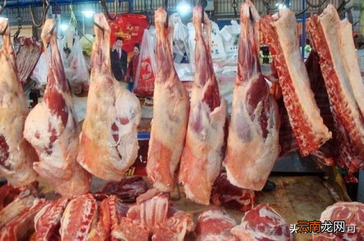 如何炖羊肉无膻味好吃 炖羊肉都需要哪些调料