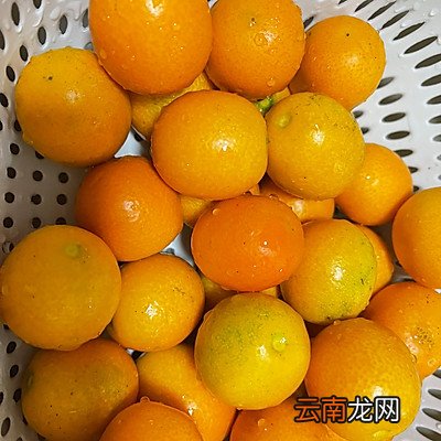 原来做冰糖金钱桔这么简单 金桔冰糖的正宗做法