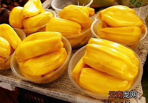 吃菠萝蜜的一些建议 女性吃菠萝蜜最佳时间
