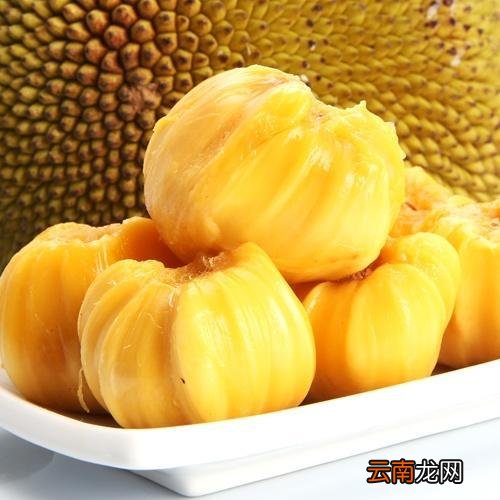 吃菠萝蜜的一些建议 女性吃菠萝蜜最佳时间