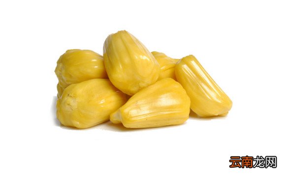 吃菠萝蜜的一些建议 女性吃菠萝蜜最佳时间