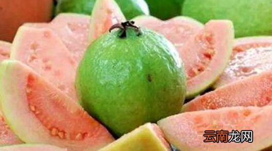 芭乐是热性还是凉性 番石榴是热性还是凉性