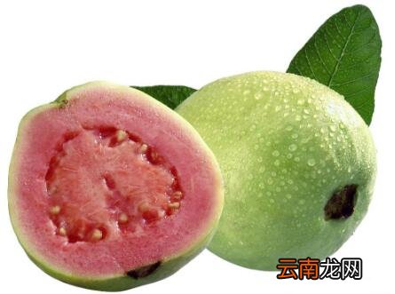 石榴籽到底能不能吃 番石榴的籽能吃吗