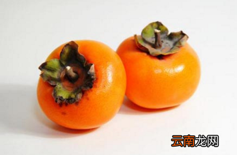 柿子吃多了有什么坏处 柿子一天吃几个最好