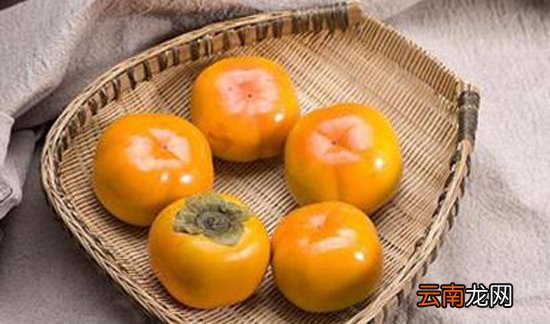 柿子什么时候吃最好 柿子什么时候成熟
