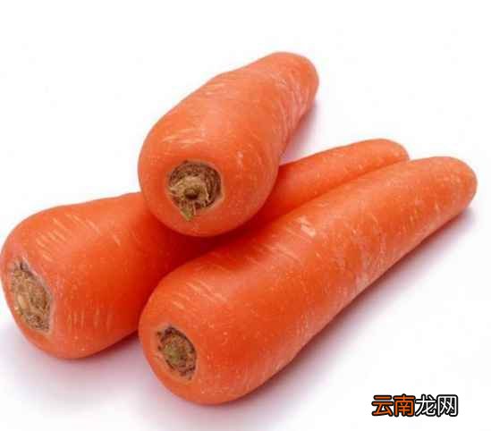 胡萝卜的12种做法 小孩再也不挑食