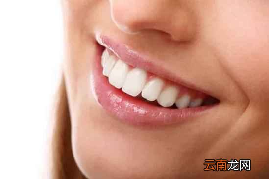细菌性痢疾鉴别诊断 夏天总拉肚子腹痛注意细菌性痢疾