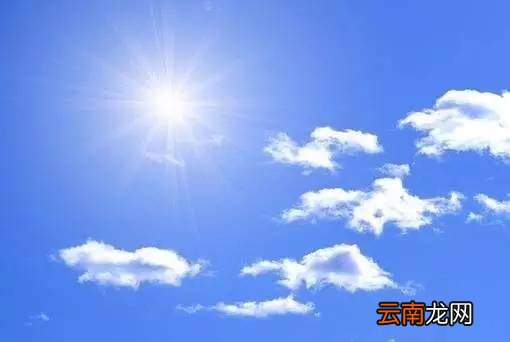 夏天能吃羊肉吗 比冬天吃还要好
