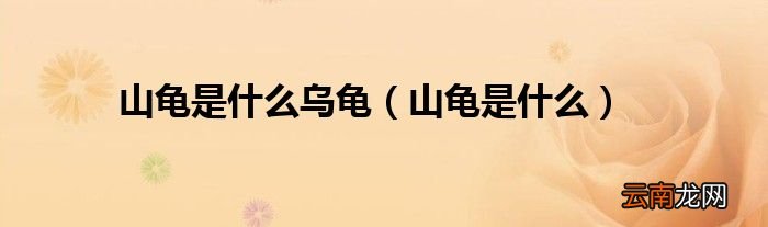 山龟是什么 山龟是什么乌龟