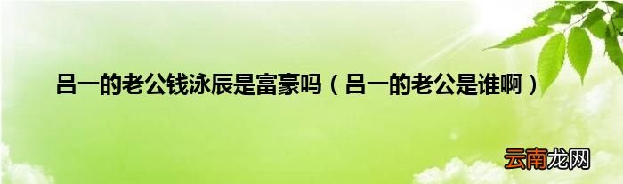吕一的老公是谁啊 吕一的老公钱泳辰是富豪吗