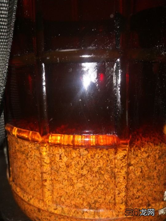 芬芳浓郁的桂花酒做法 桂花酒的制作方法步骤