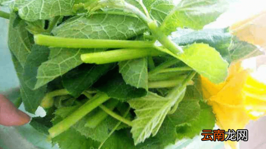 感冒喉咙痒立刻止咳的方法 这三种食物就能立刻止咳