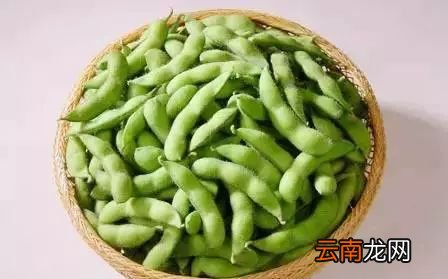 吃毛豆有什么好处 降三高没它不行