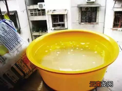 怎么驱蚊子最有效 最有效的驱蚊方法大集合
