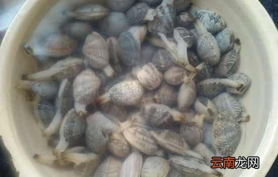 花甲里面的黑色是屎吗 花甲什么部分不能吃