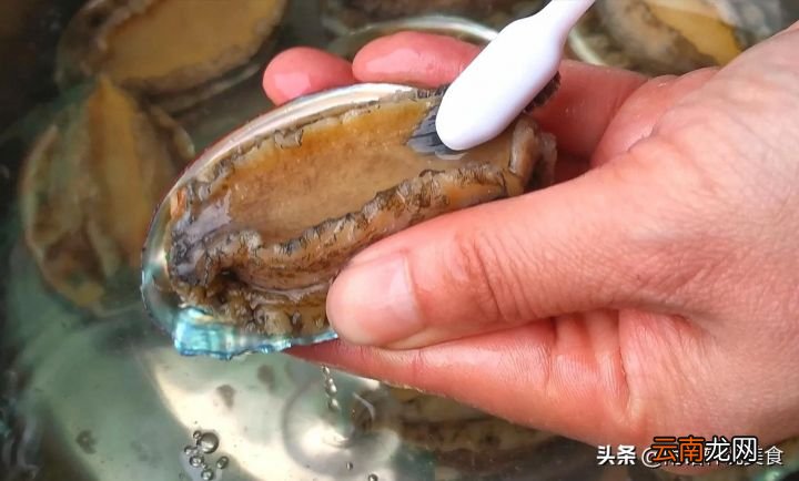 鲍鱼怎么做才好吃 鲍鱼的做法有哪几种