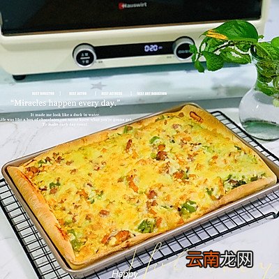 制作披萨的方法和材料 披萨的制作方法