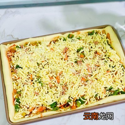 制作披萨的方法和材料 披萨的制作方法