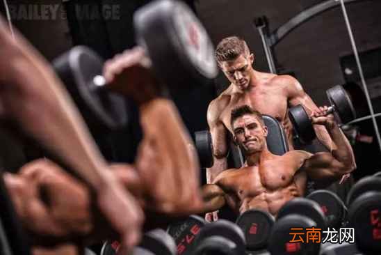 肌酸怎么吃才效果明显 你真的了解肌酸吗