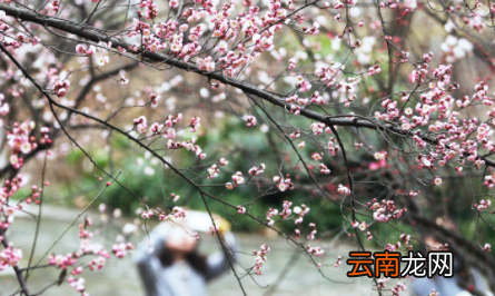 2023年是年前立春还是年后立春-年后立春冷不冷2023