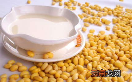 打豆浆怎么放豆子和水-打豆浆水放多了能喝吗