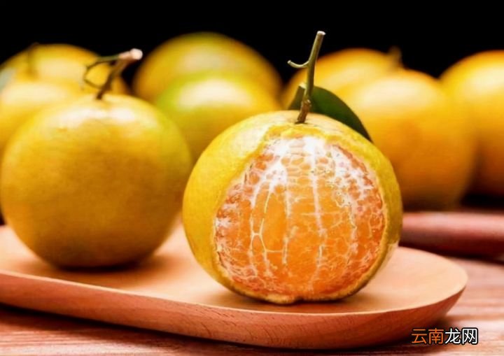 全国哪的橘子最好吃 中国十大蜜桔排名