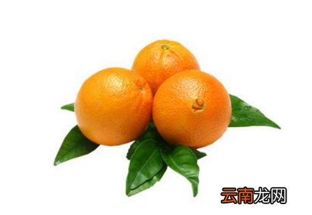 脐橙什么时候成熟 橙子几月份成熟