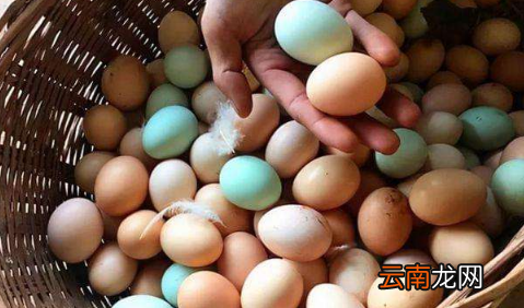 冬天鸡蛋放冰箱好还是放外面好-鸡蛋放冰箱要用塑料袋装吗