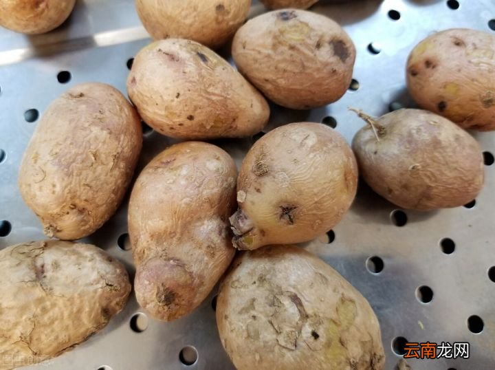土豆蒸多久熟 蒸土豆需要多长时间