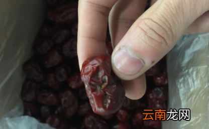 红枣发霉是什么样子-红枣发霉是黄曲霉素吗