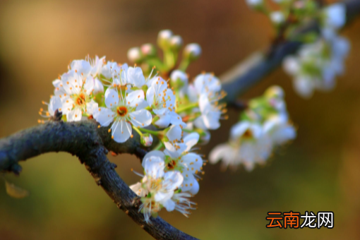 躲春躲立春的一分钟可以吗-躲春只躲打春的那一分钟行吗