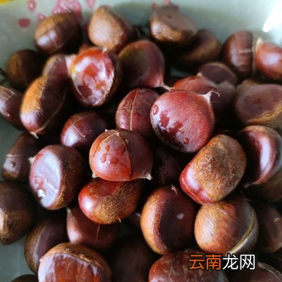 新鲜栗子怎么做好吃 栗子怎么做好吃