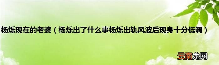 杨烁出了什么事杨烁出轨风波后现身十分低调 杨烁现在的老婆