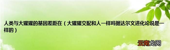 大猩猩交配和人一样吗据达尔文进化论说是一样的 人类与大猩猩的基因差距在