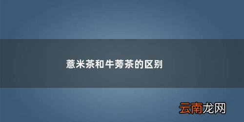 薏米茶和牛蒡茶的区别