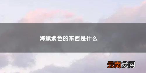 海螺里面紫色的 海螺紫色的东西是什么