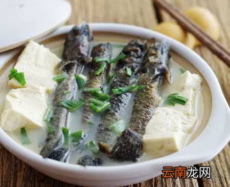 少油的炖菜菜谱 再也不担心油腻了